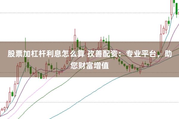 股票加杠杆利息怎么算 孜善配资：专业平台，助您财富增值