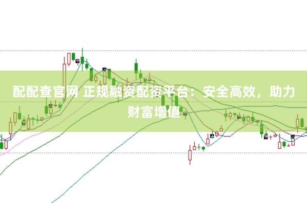 配配查官网 正规融资配资平台:安全高效,助力财富增值