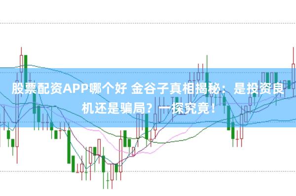 股票配资APP哪个好 金谷子真相揭秘：是投资良机还是骗局？一探究竟！