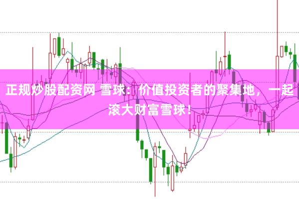 正规炒股配资网 雪球:价值投资者的聚集地,一起滚大财富雪球!
