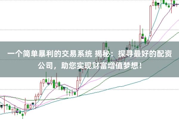 一个简单暴利的交易系统 揭秘：探寻最好的配资公司，助您实现财富增值梦想！