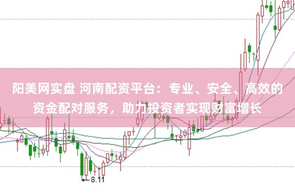 阳美网实盘 河南配资平台：专业、安全、高效的资金配对服务，助力投资者实现财富增长
