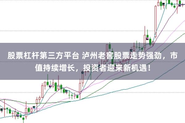 股票杠杆第三方平台 泸州老窖股票走势强劲，市值持续增长，投资者迎来新机遇！