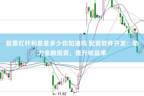 股票杠杆利息是多少你知道吗 配资软件开发:助力金融投资,提升收益率