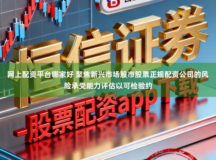 网上配资平台哪家好 聚焦新兴市场股市股票正规配资公司的风险承受能力评估以可检验约