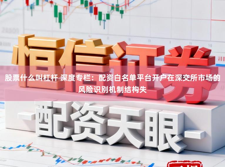 股票什么叫杠杆 深度专栏：配资白名单平台开户在深交所市场的风险识别机制结构失